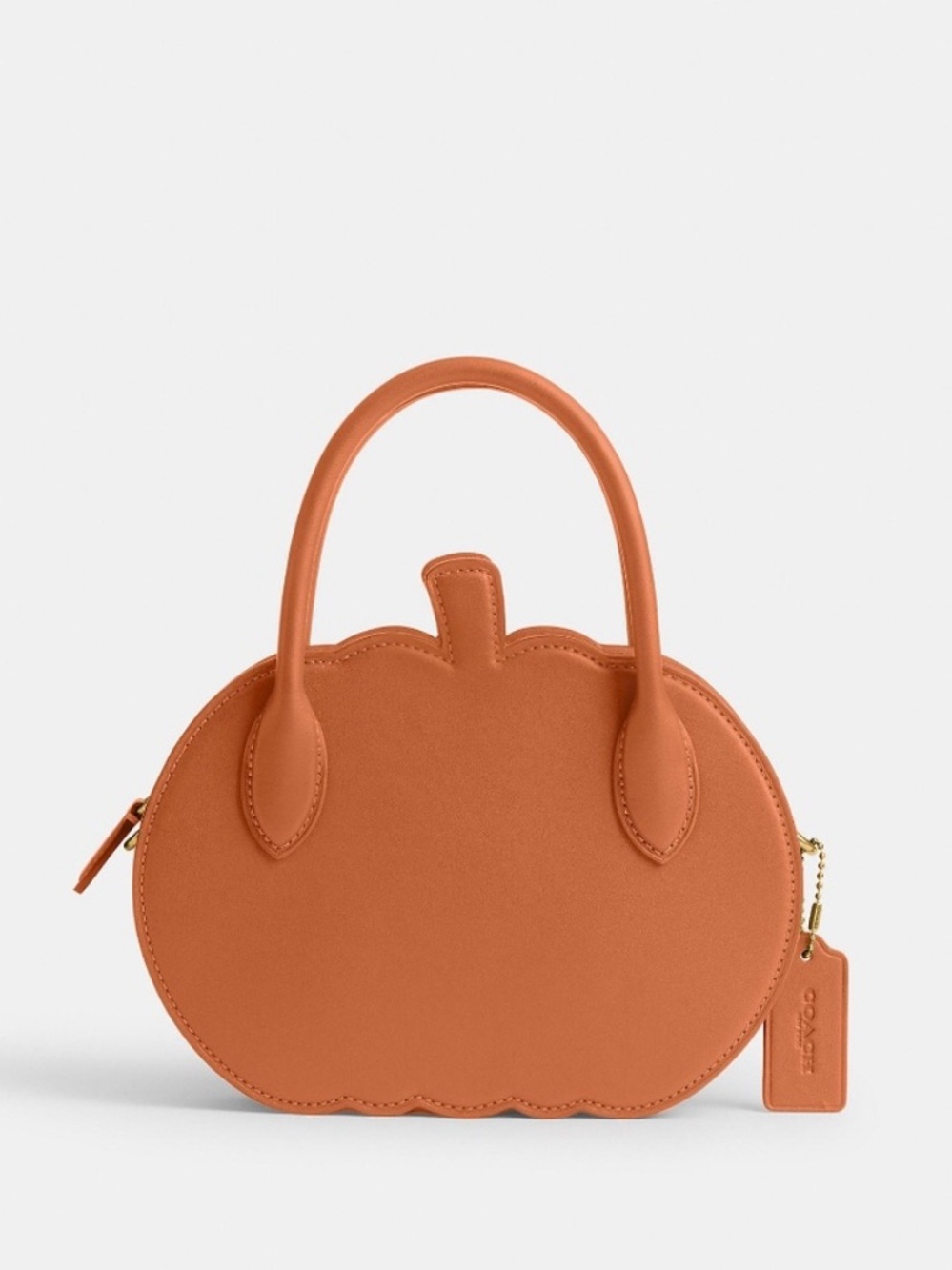 NWT Coach Pumpkin Bag